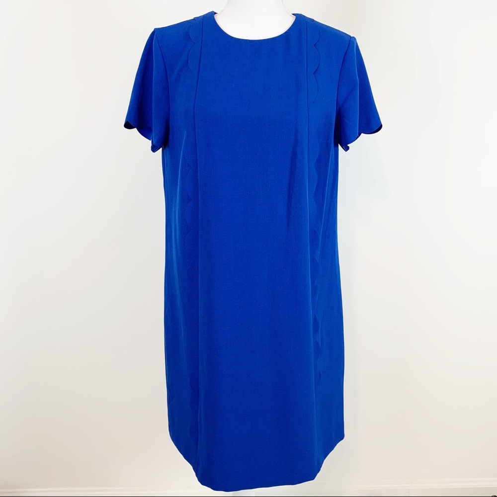 Tahari by ASL cap‎ sleeve Scallop trim Shift Dress